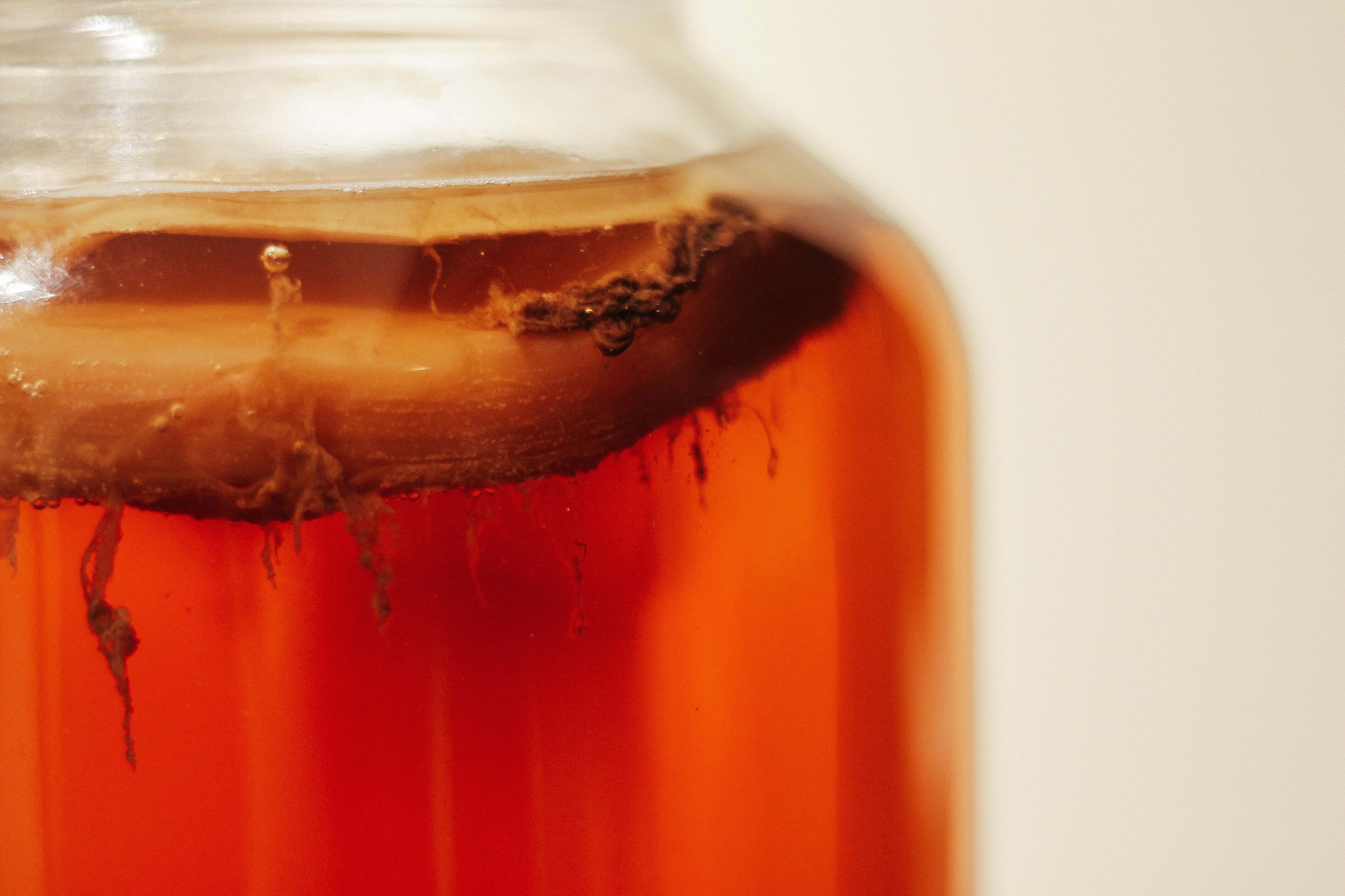 What’s the Main Function of Fermentation?