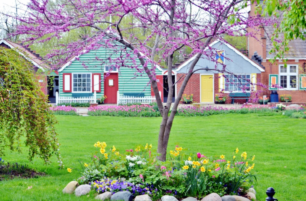 a tree in a yard