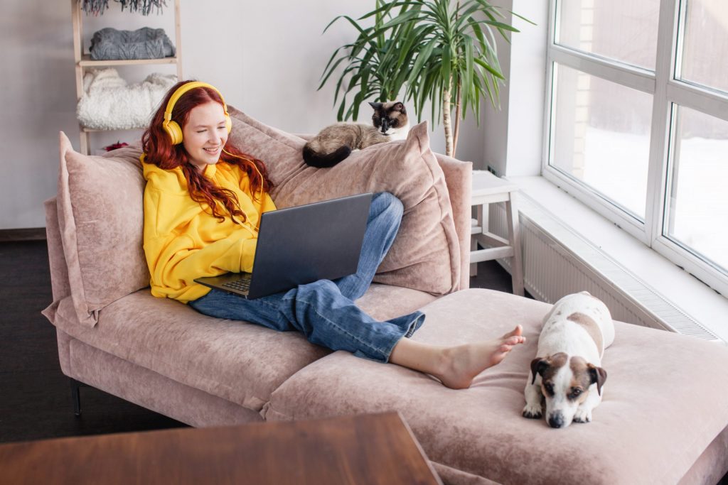 a person sitting on a couch with a cat and a laptop