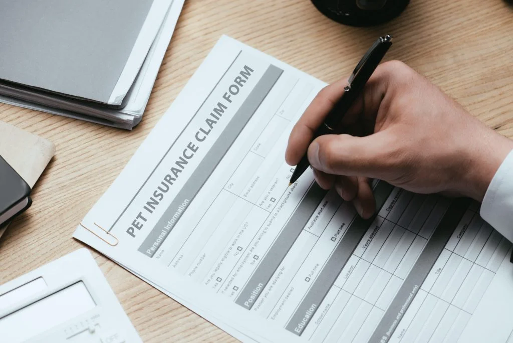 cropped view of man filling in Pet Insurance Claim Form Protection Safety Health Concept