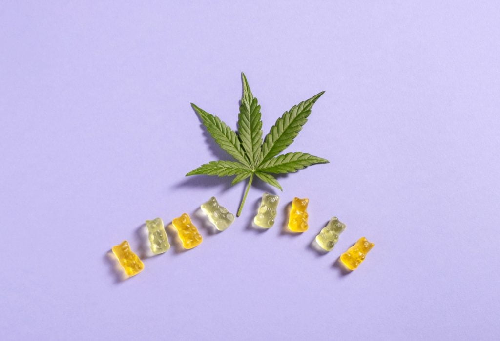 top view colorful gummy bears and cannabis leaves       utc scaled