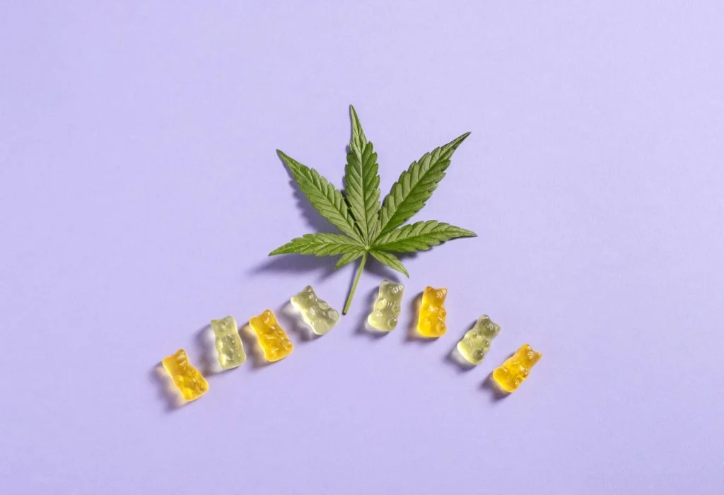 top view colorful gummy bears and cannabis leaves       utc scaled